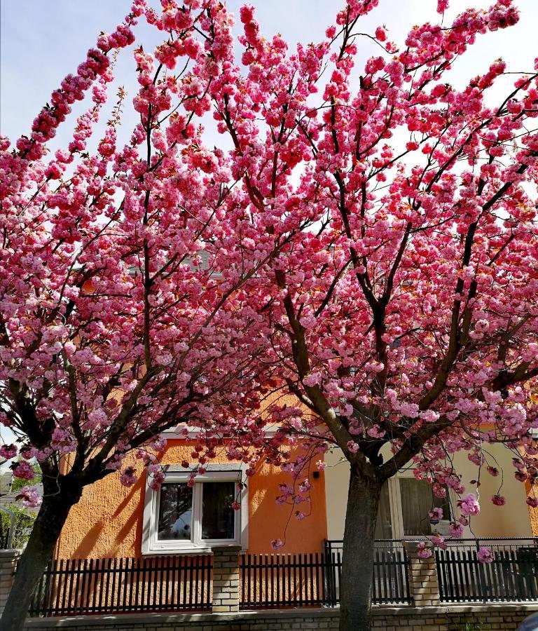 Marcipán Heviz Exterior foto